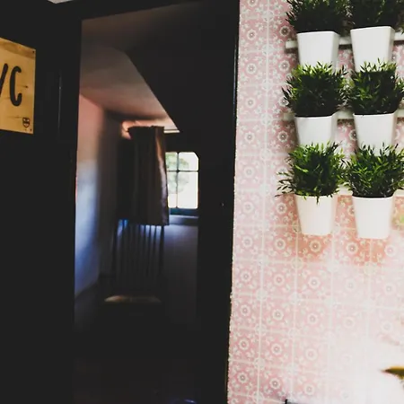 ホステル House Sao Pedro São Pedro do Estoril